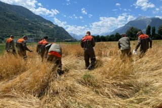 La protection civile a fini son travail de nettoyage après l'incendie de Vétroz
